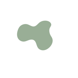 A782081b-placeholder-1769462685