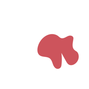 Fb89863b-placeholder-1770056323