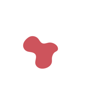 A16c31ef-placeholder-1770056164