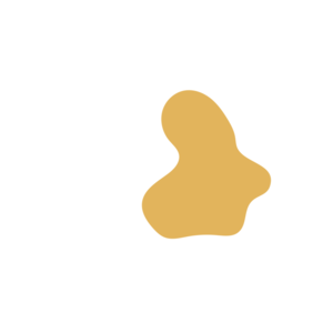 027d8b8e-placeholder-1770412852