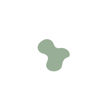 64176cc6-placeholder-1770009645