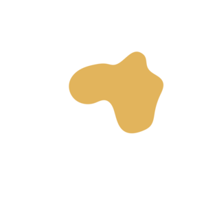 E73f90e1-placeholder-1769992444