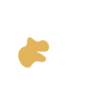 Bbfa3cb0-placeholder-1773902276