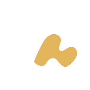 81d24de5-placeholder-1770054525