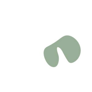 829525eb-placeholder-1770091531