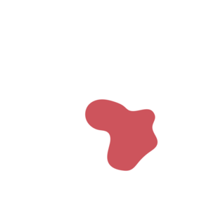 A83cf2db-placeholder-1770442281