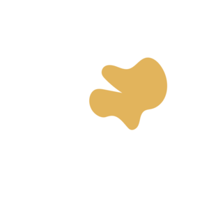 986a55e8-placeholder-1770216260