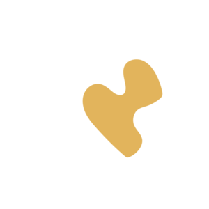 61ec554f-placeholder-1770842266