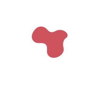 3e528232-placeholder-1772138584