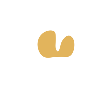 E6fd3104-placeholder-1770842266