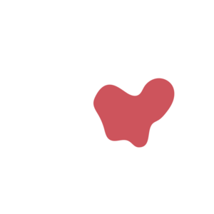 E2965219-placeholder-1770732760