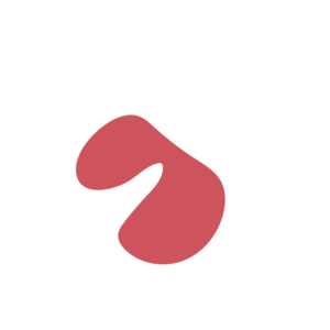 08658506-placeholder-1772649972