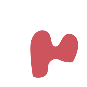 4c796f91-placeholder-1771177461