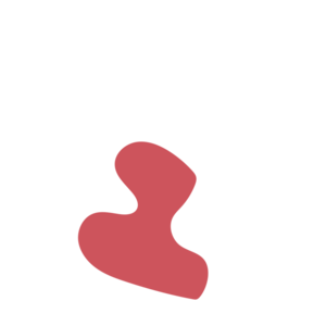 9ff7ceda-placeholder-1772178491