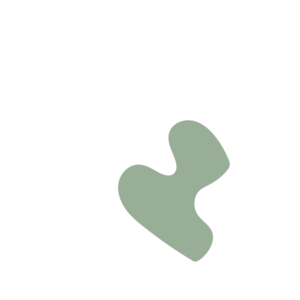 00a5b2ac-placeholder-1772406156