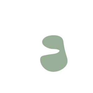 96d1cb8f-placeholder-1772178491