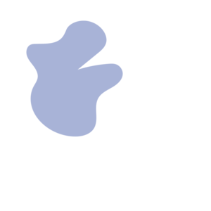 9552b90b-placeholder-1772178489