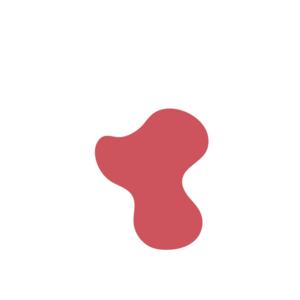 8705f0b9-placeholder-1772178486