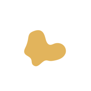 03401bf6-placeholder-1770008575