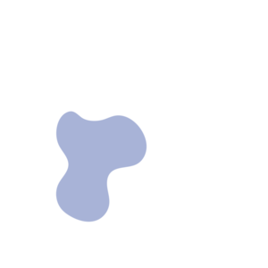 F8dc0a03-placeholder-1772276058