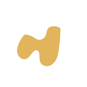 61538eb7-placeholder-1772719222