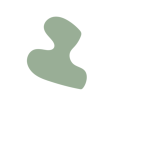 87c2e791-placeholder-1772719221