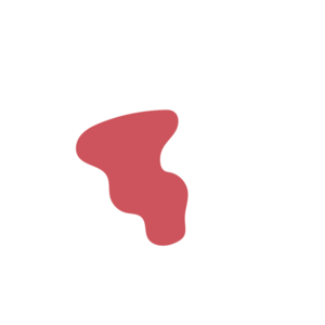 B1c1f571-placeholder-1772719219