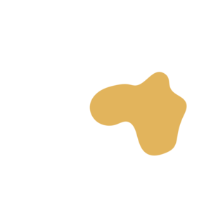 6133d3a1-placeholder-1772945072