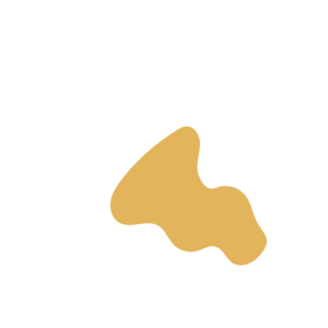 0072649a-placeholder-1775030686