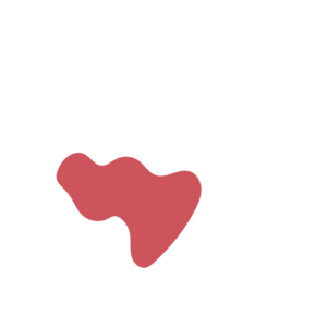 456cacc3-placeholder-1773292662