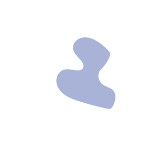 8806dae5-placeholder-1774119542