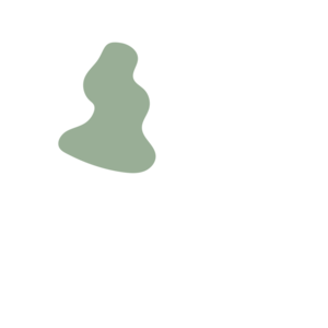 8b88ffdf-placeholder-1774670553