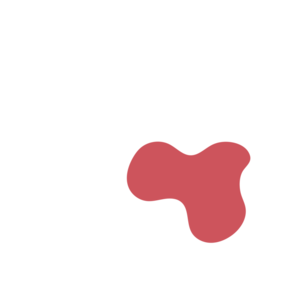 5e8e575b-placeholder-1774308166