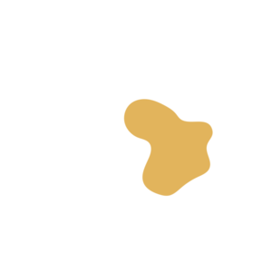 E8bb17c7-placeholder-1774322866