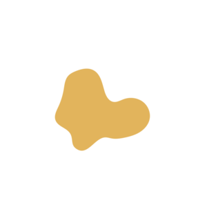 Cdb11b99-placeholder-1770055290