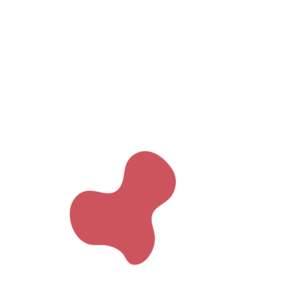 0102c69a-placeholder-1774607098