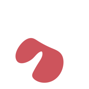 C3cbd513-placeholder-1770007614