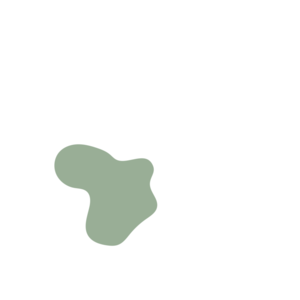 F9a65907-placeholder-1770031873