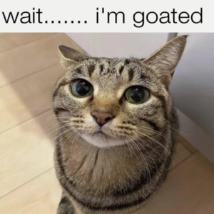 Tokyolean-1775355888