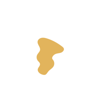 E3464697-placeholder-1775879633