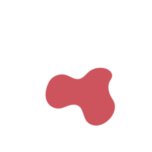 47147ada-placeholder-1775665905