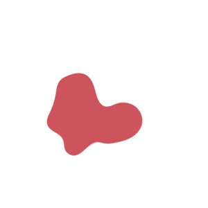 D55ba2f6-placeholder-1769579599