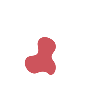 1d7b813d-placeholder-1770019276