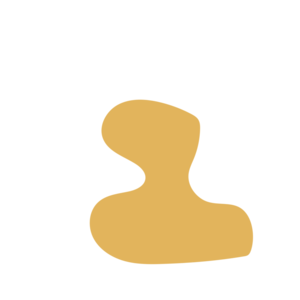 0a8f5b11-placeholder-1769020890