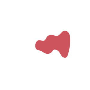 A513d05a-placeholder-1770006466