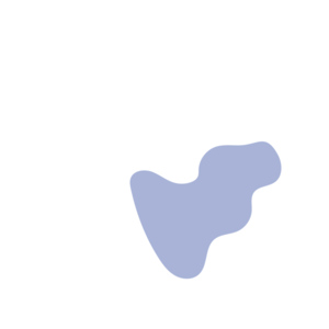 26852ccc-placeholder-1770017223