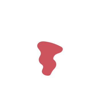 64066337-placeholder-1770046498