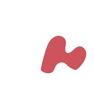 F9995e4c-placeholder-1770009334