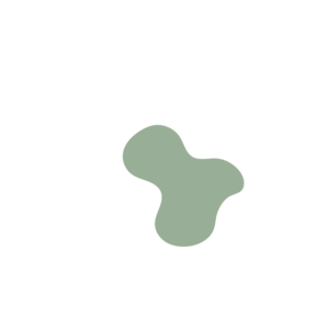 5d9b6099-placeholder-1770013667