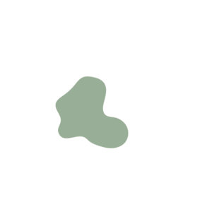 C11d3955-placeholder-1770009717